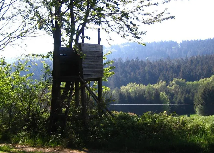 Апартаменты Marita Wimbach