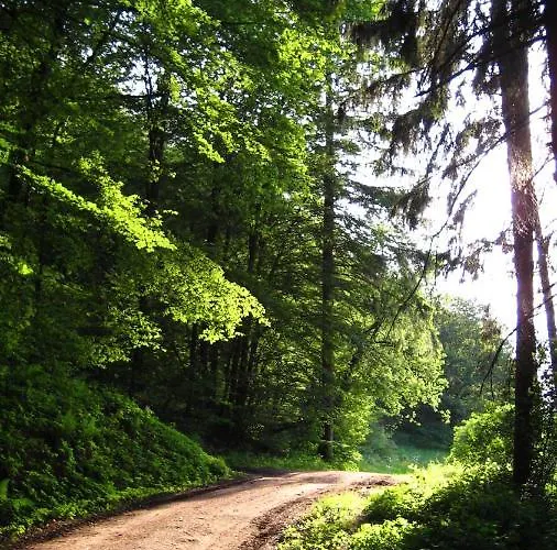 Marita Appartement Wimbach