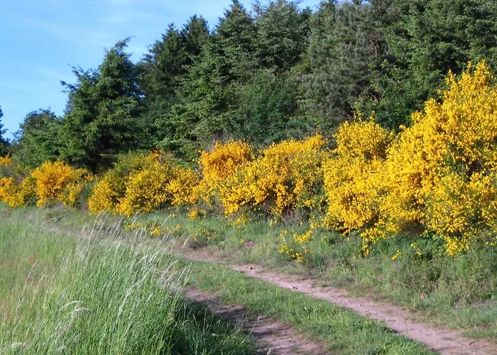 Апартаменты Marita