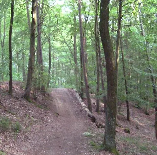 Marita Апартаменты Wimbach